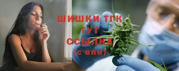 сатива Баксан