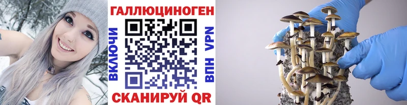 kraken сайт площадка состав Галлюциногенные грибы прущие грибы Лесозаводск